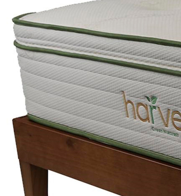 Organic cotton pillow top mattress outlet
