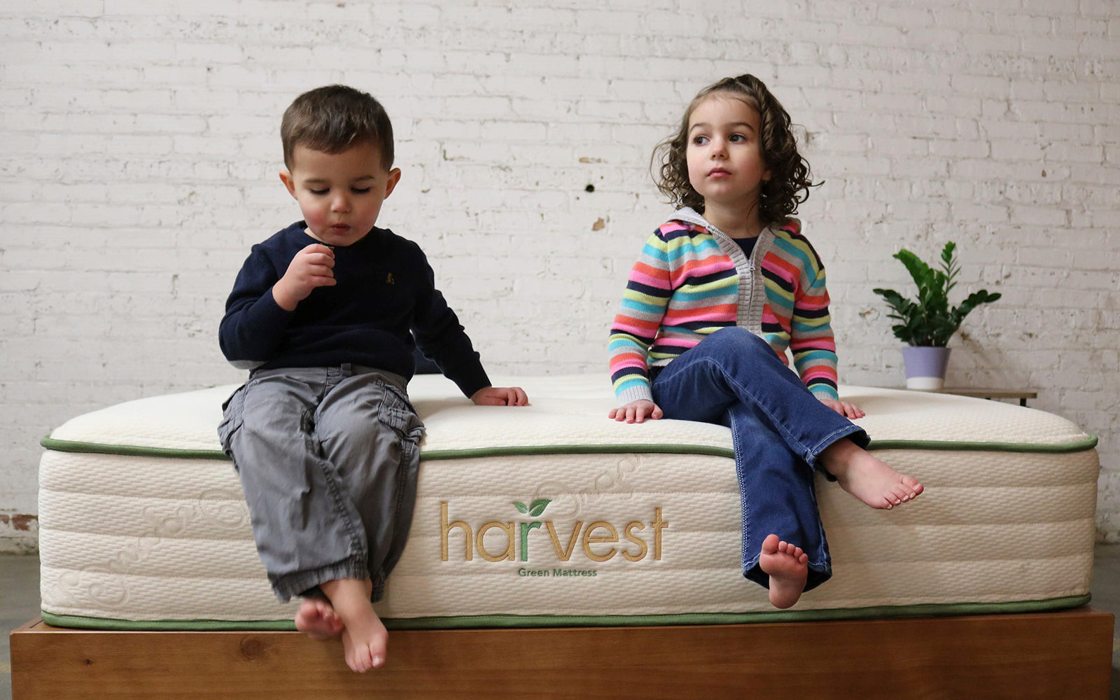 Kids Sitting On Harvest Original Mattress