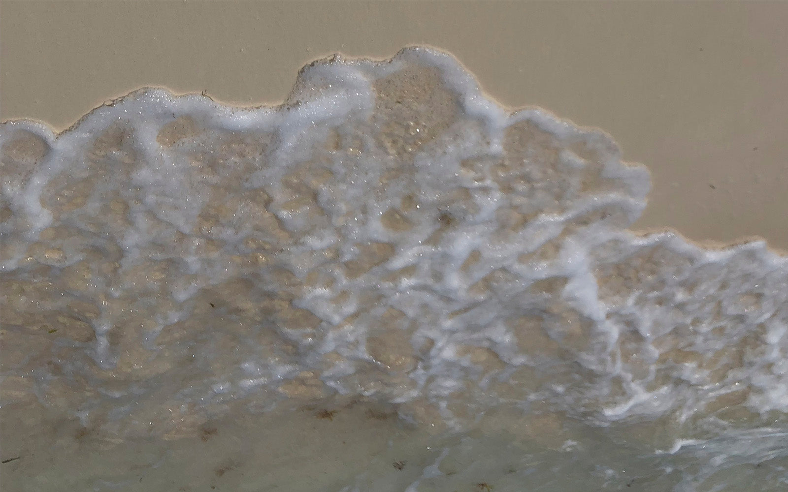 Image of an ocean shoreline. Harvest is environmentally friendly