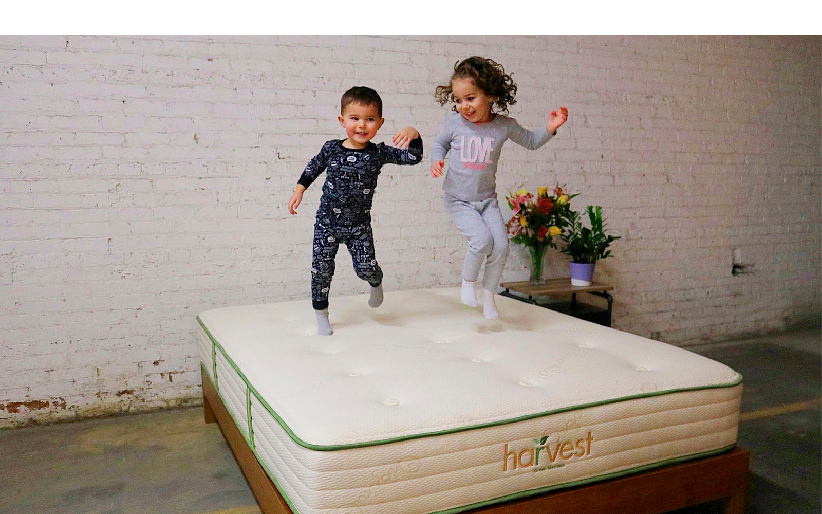 harvest green mattress reviews