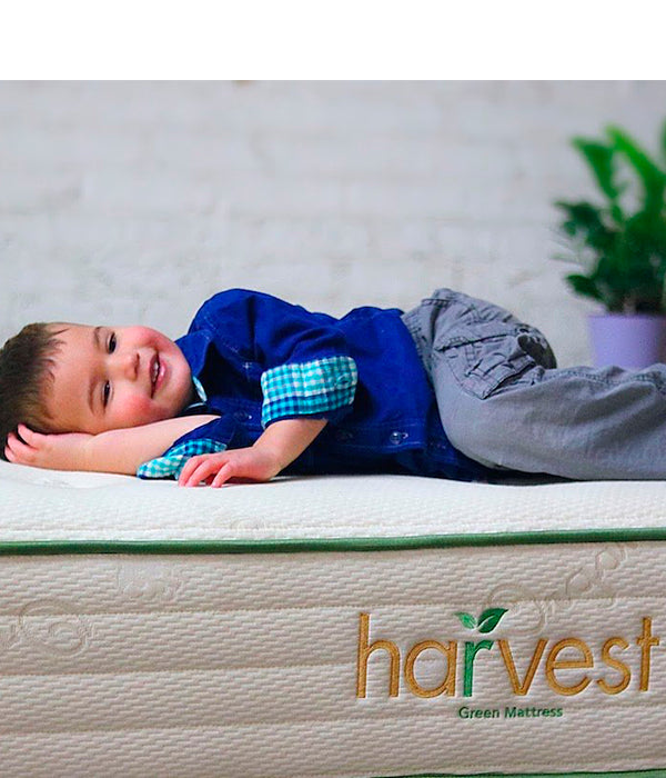 Little boy laying on our harvest green original mattress smiling