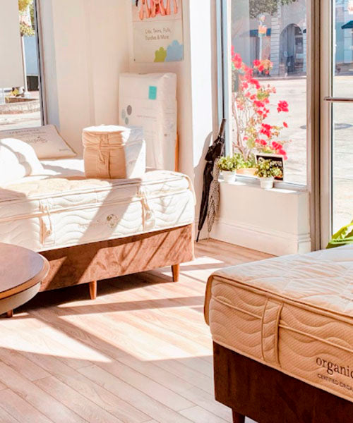 SEB Mattress Natural Organic Green Latex Harvest Green Mattress in Miami FL Inside Display
