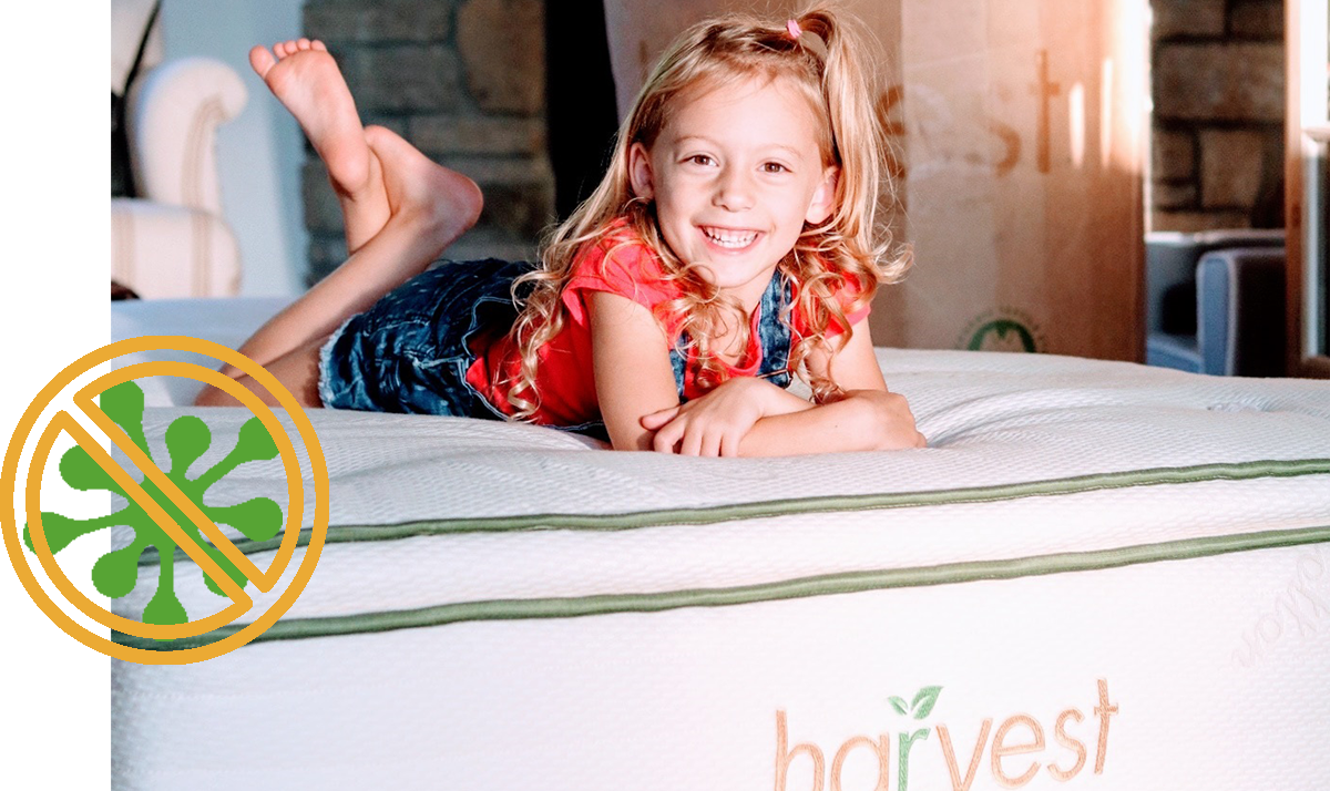 Why Buy Green Harvest Green Mattress