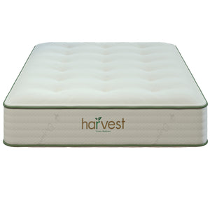Head On Image Of Our Harvest Green Original Double-Sided Mattress