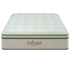 Head On Image Of Our Harvest Green Pillow Top Mattress