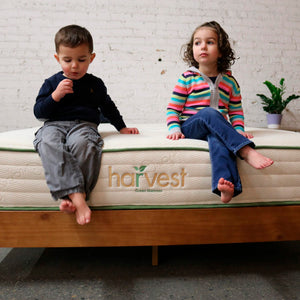 Harvest Green Organic Mattress Head On With Kids