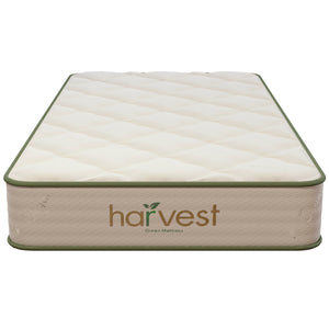 Harvest Green Essentials Mattress Twin Size Head On Image